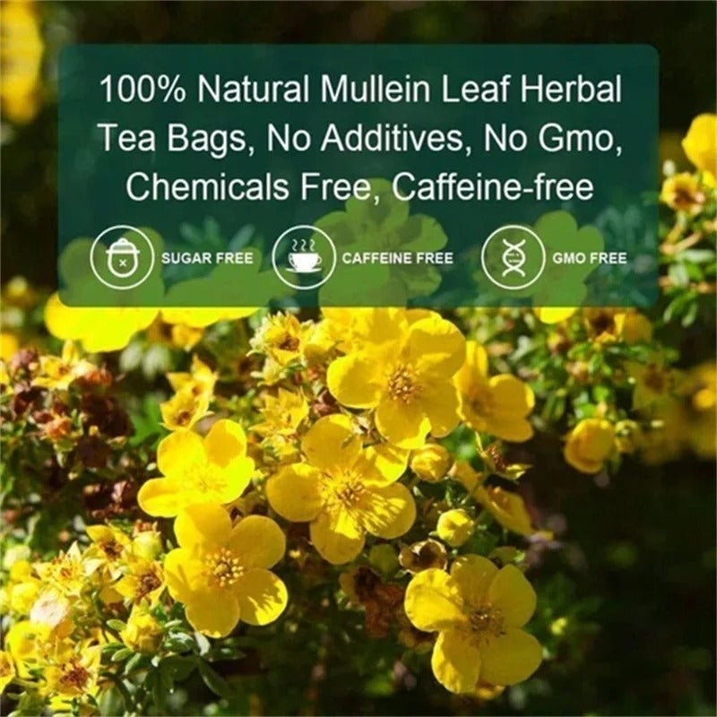 Mullein Leaf Tea — Lung & Immunity Blend | 50 Teabags