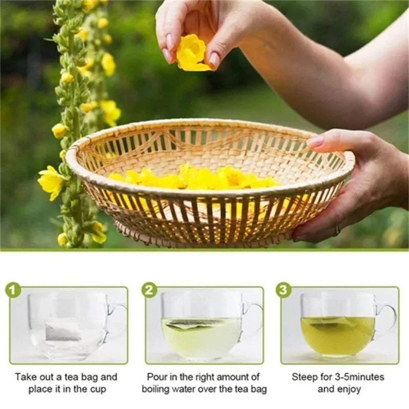 Mullein Leaf Tea — Lung & Immunity Blend | 50 Teabags